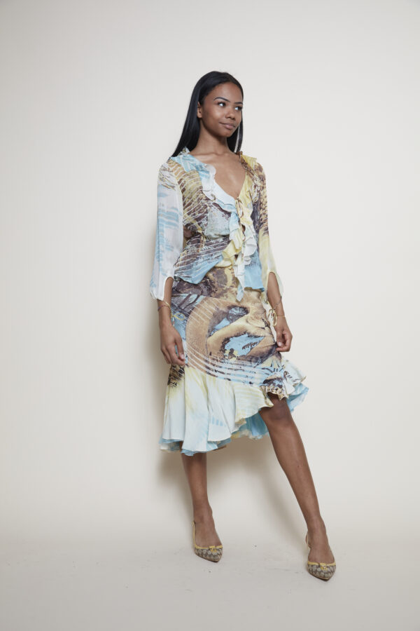 Roberto Cavalli Silk skirt and shirt co-ord 3