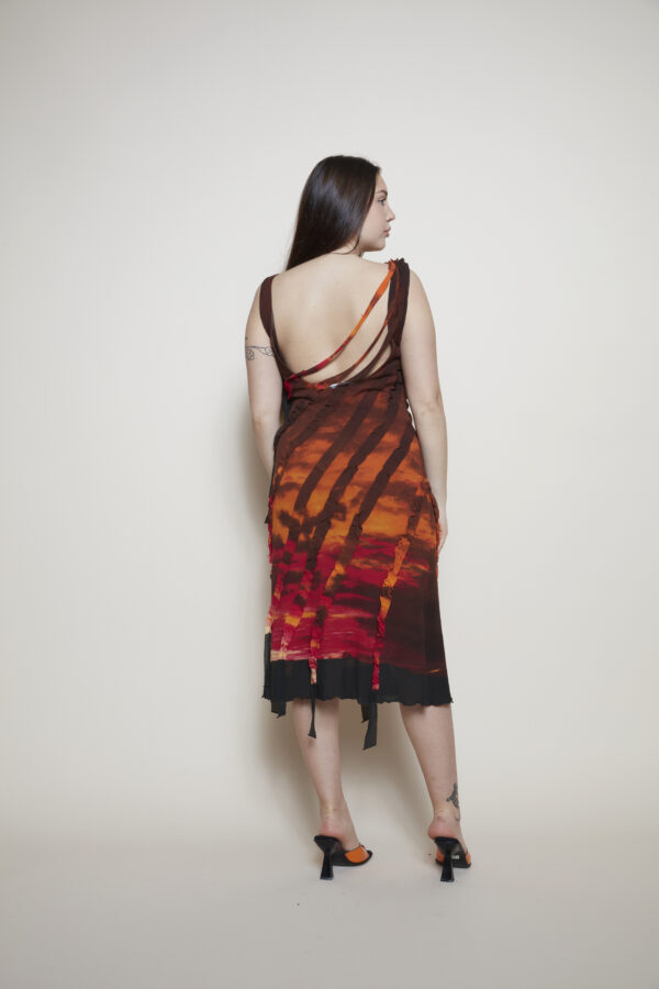 Class Cavalli dress back