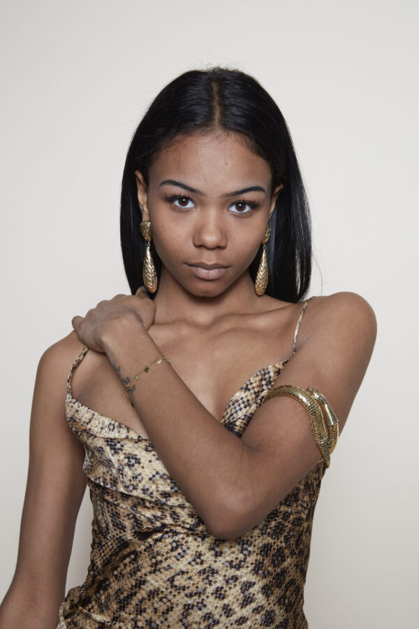 Givenchy earrings Whiting & Davis Snake bracelet 2