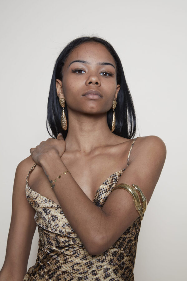 Givenchy earrings Whiting & Davis Snake bracelet